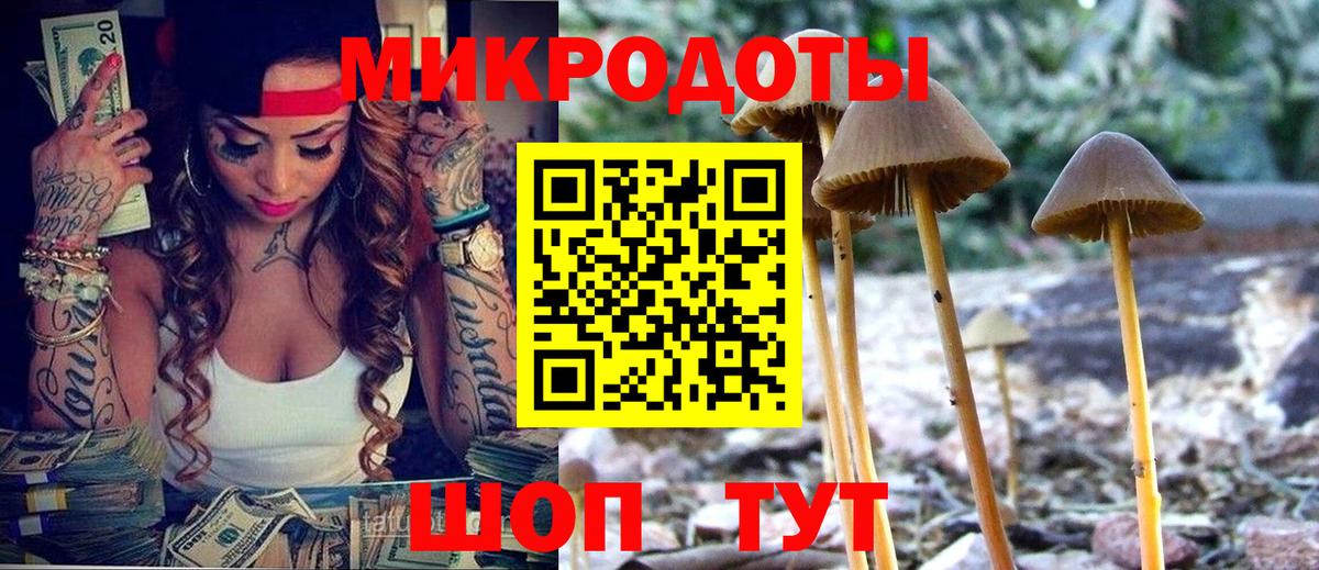 Новочебоксарск  Псилоцибиновые грибы Psilocybe  Вход с VPN  Псилоцибиновые грибы GOLDEN TEACHER 